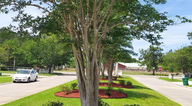 2022 Breckenridge Entrance Update